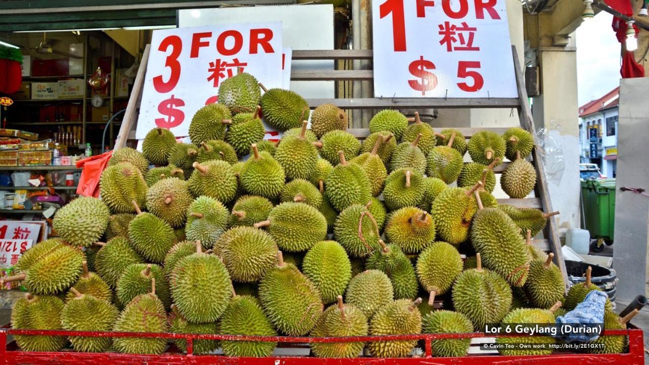 Khách sạn Zen Geylang *